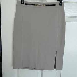 Express Skirt